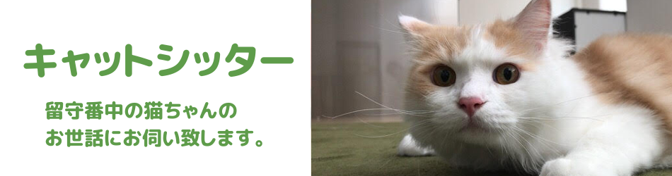 川口市のペットシッター結、猫、キャットシッター