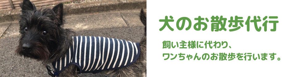 川口市のペットシッター結、犬の散歩代行2