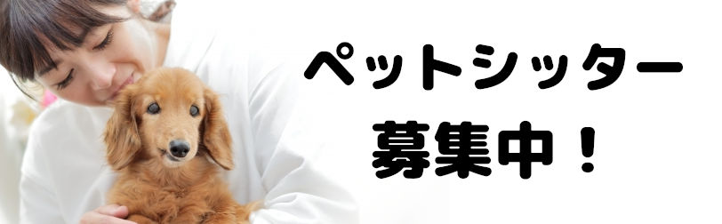 ペットシッター募集