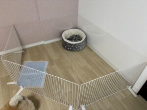 サークルで区切った空間