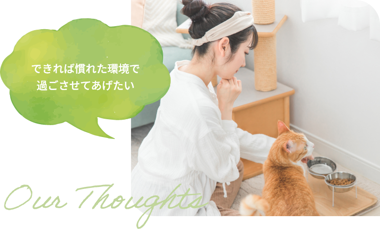 できれば慣れた環境で過ごさせてあげたい