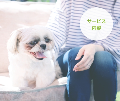 サービス内容