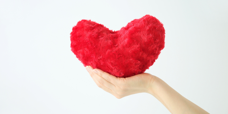 intopetペットシッターグループ保険に関して