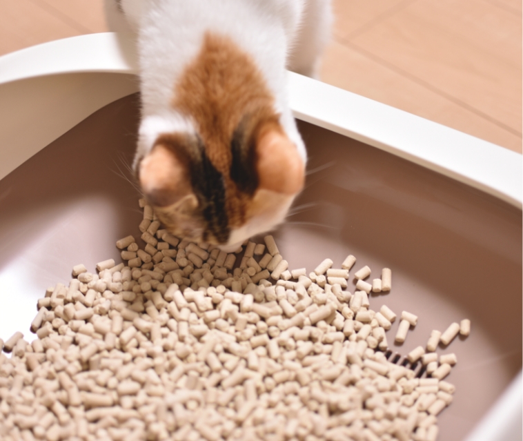 ペットのトイレ