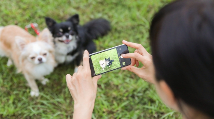 写真付きメール報告