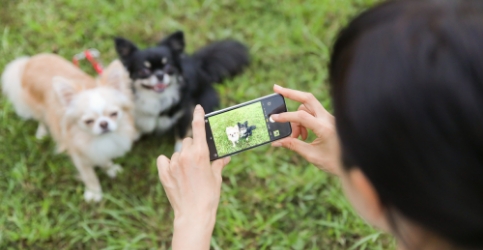 写真付きでご報告