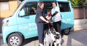 ペットタクシー
