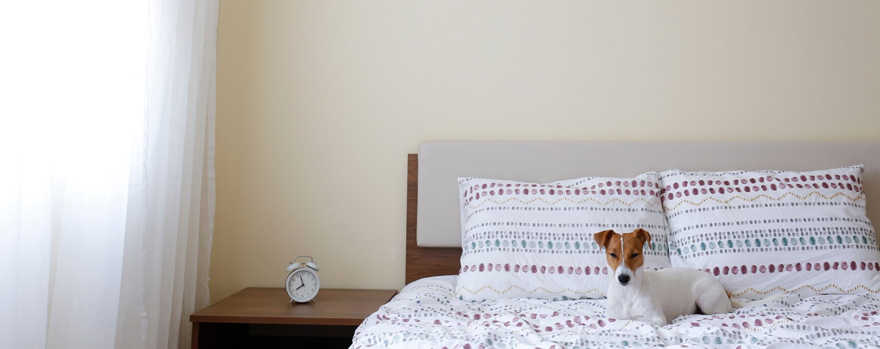 ドッグホテル レトノワ