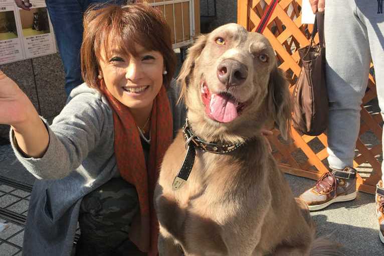 ペットシッターとは