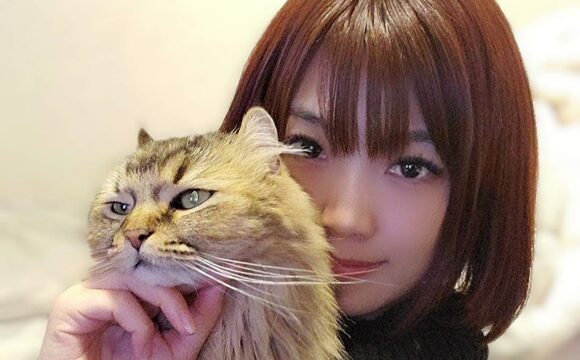 ペットシッターAnimaRoom