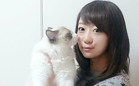 ペットシッター ・ ペットホテル ・ キャッテリー chat concierge