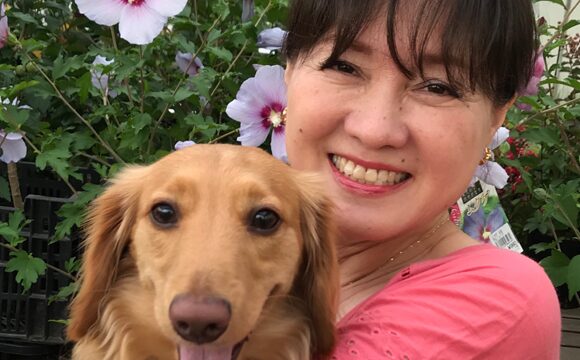 ペットシッターはまっ子