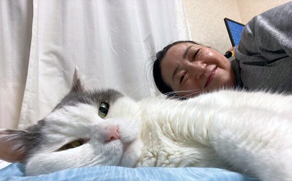 キャットシッターもなちゃん