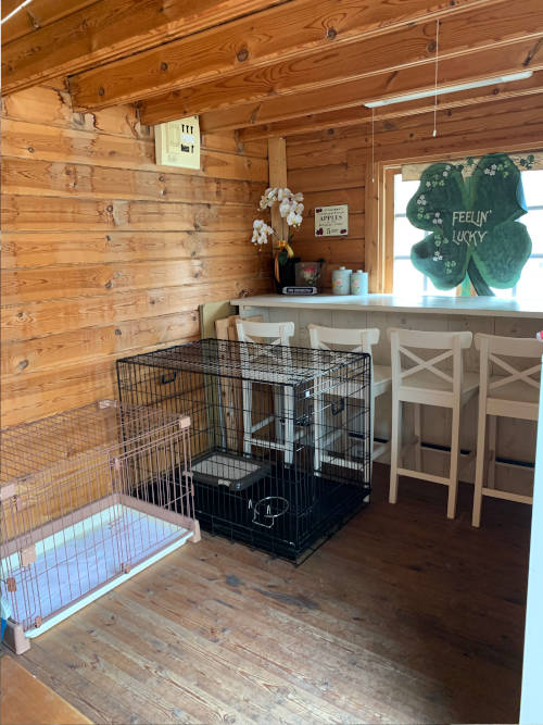 ペットホテル内観