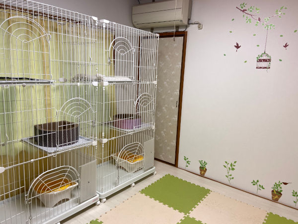 箕面のペットホテル2