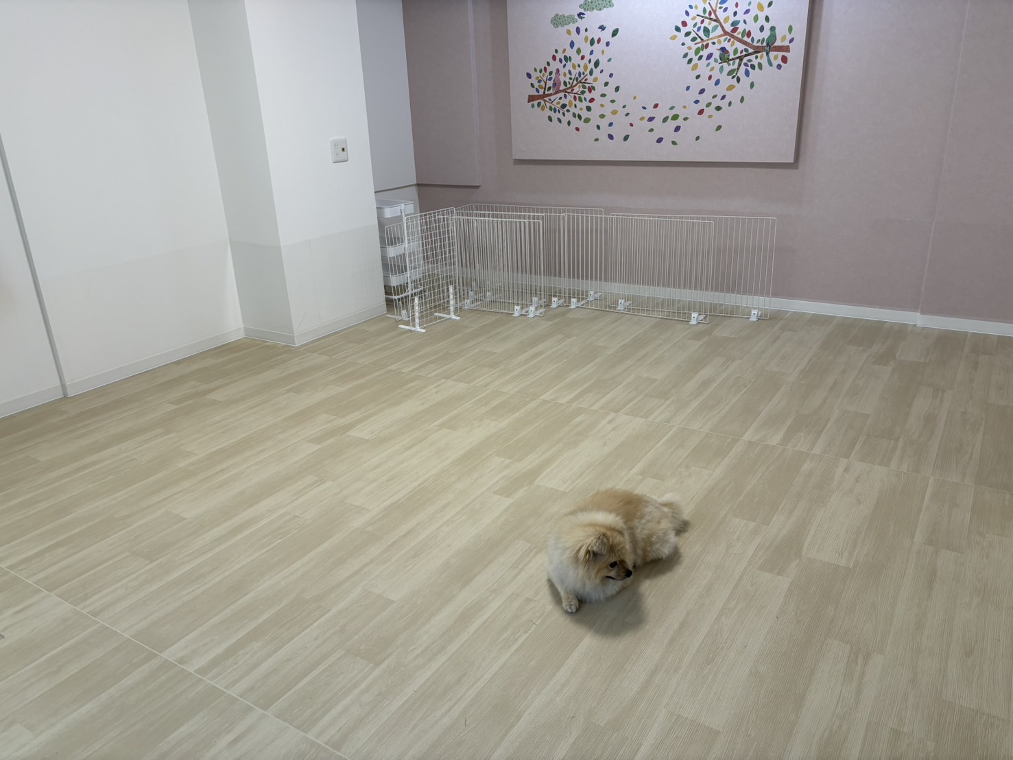 ペットホテルまんまる