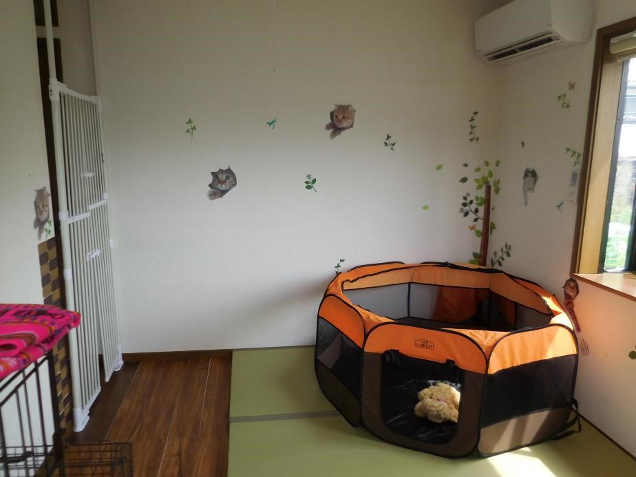宮崎のペットホテル2