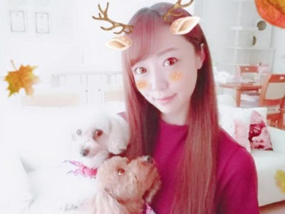 chat concierge を通じて