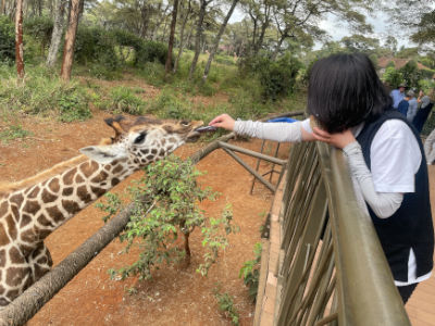アフリカ ジラフセンター