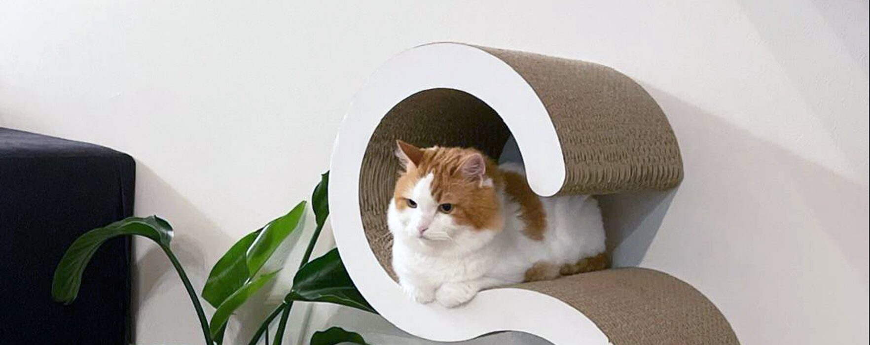 ペットシッター・詩海・