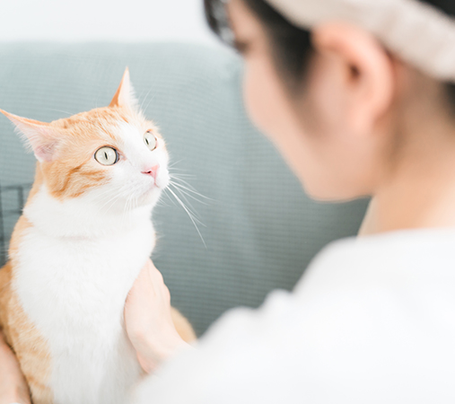 キャットシッタースタッフ