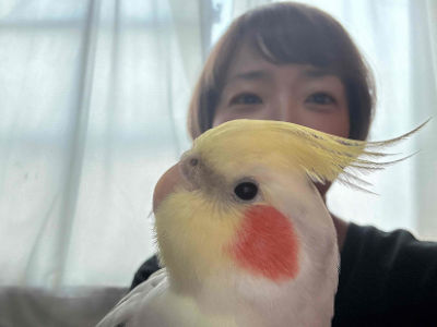 ペットシッターぱにぴのスタッフ