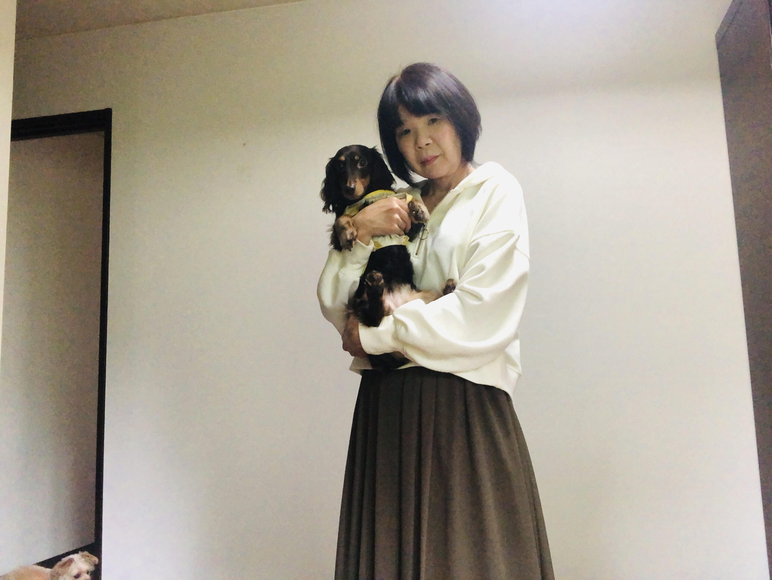 ペットシッターみっきーのスタッフ