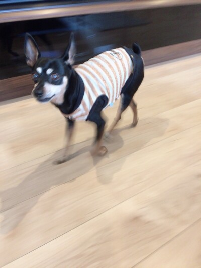 カウンセリング🎶