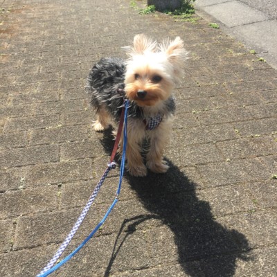 今日のお散歩🐾