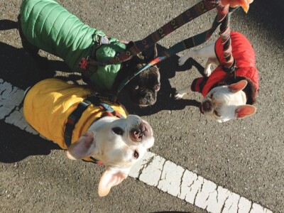 お散歩&お世話🐾🎶