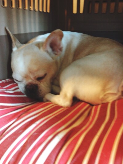 お散歩&お世話🐾🎶