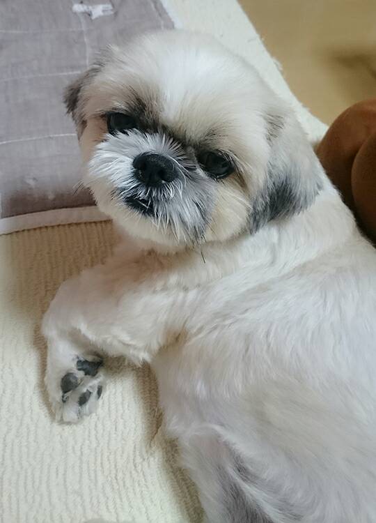 リピートふぅちゃん☆