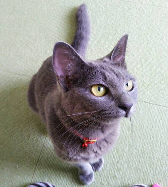 常連ララちゃん☆