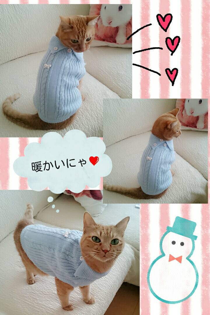 ペットの健康管理☆