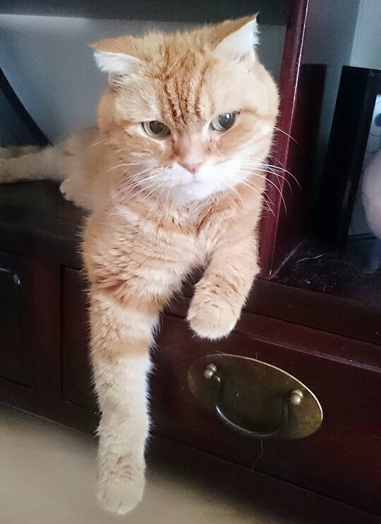 カキちゃん・サビちゃん☆