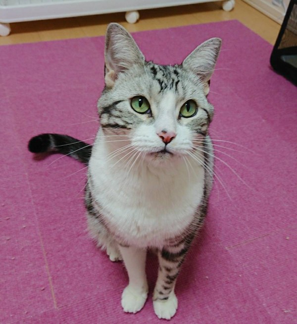 リピートの福君☆