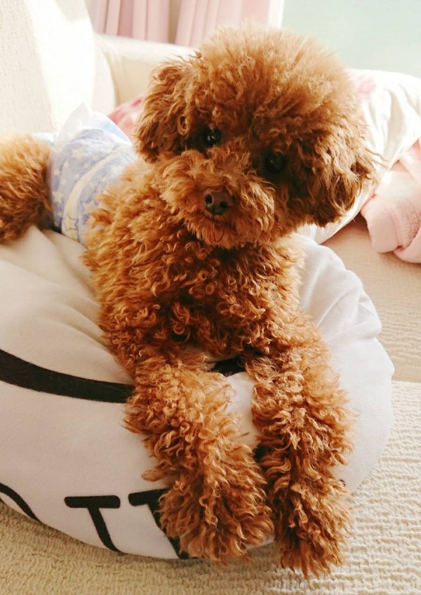 お友達増えたバーニー君☆