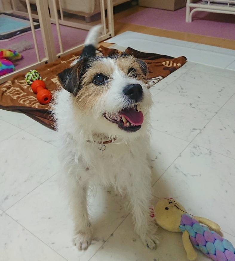 リピートの小次郎君☆