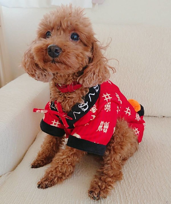 今年初のココちゃん・ルルちゃん☆