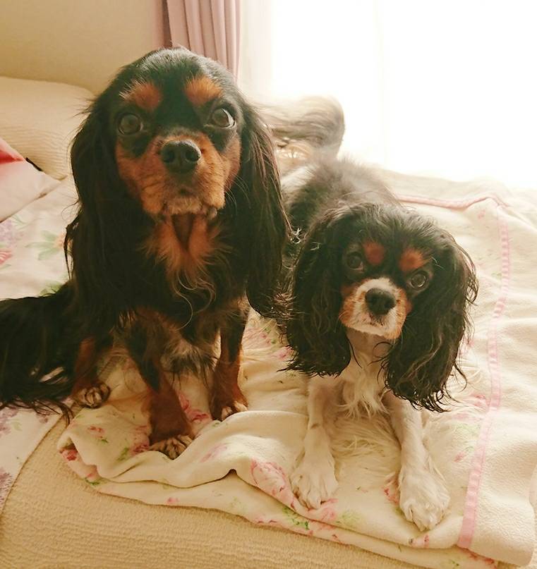 リピートの王子君・若君☆