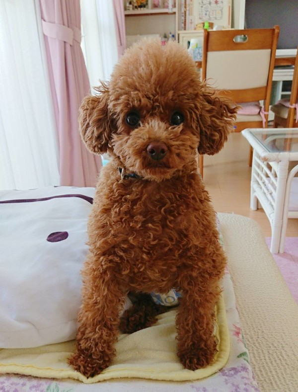 友好的なバーニー君☆