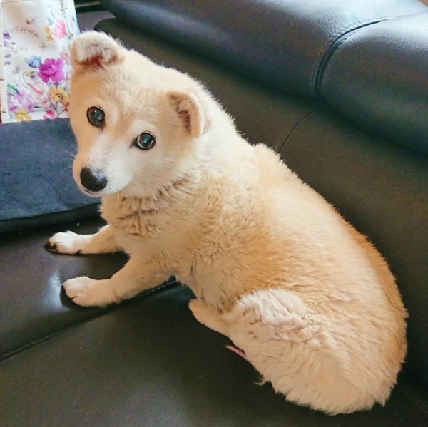 のんびり、くぅちゃん☆