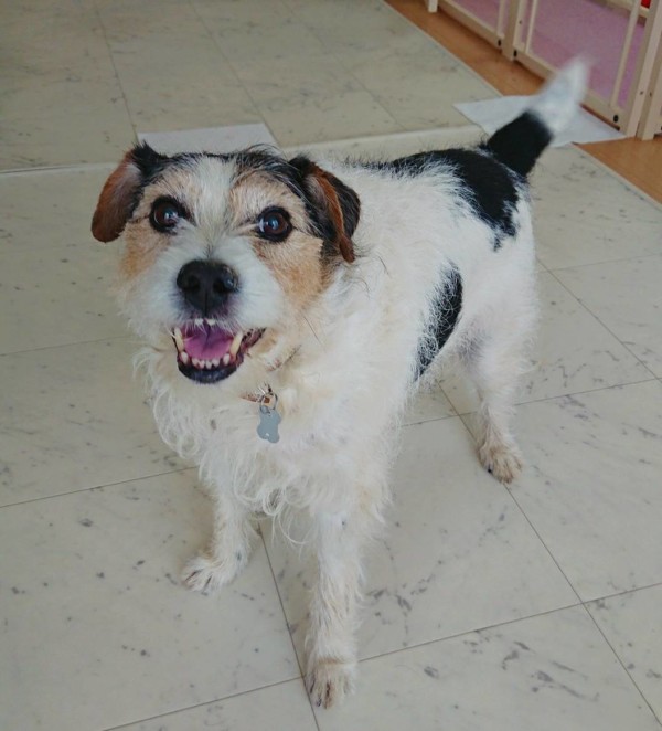 春の小次郎君☆