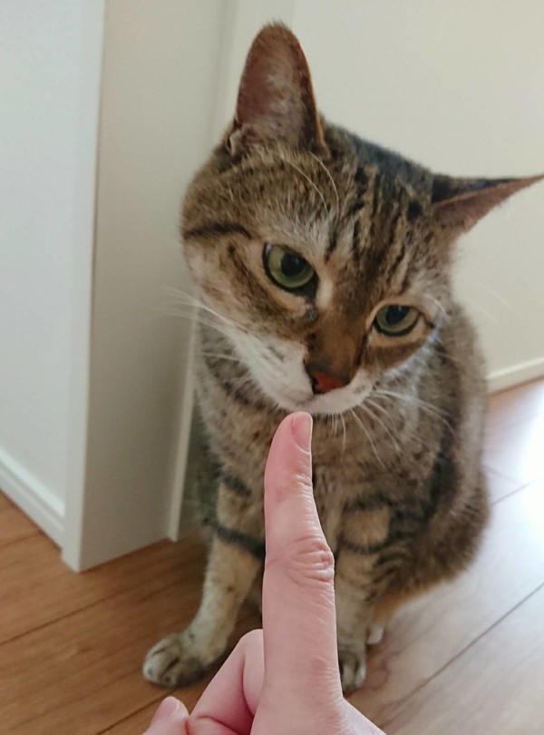 訪問シッターのリブちゃん&くー君☆