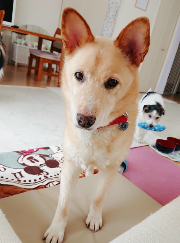 よく寝るりょう君☆