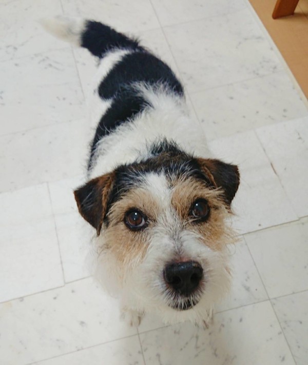 元気いっぱい小次郎君☆