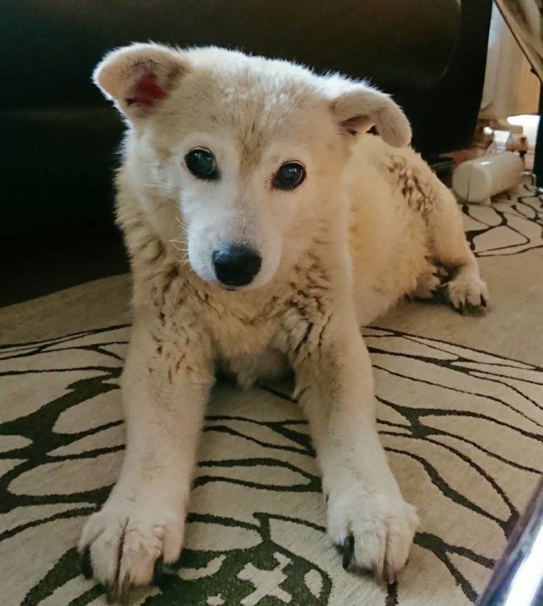 まだまだ元気くぅちゃん☆