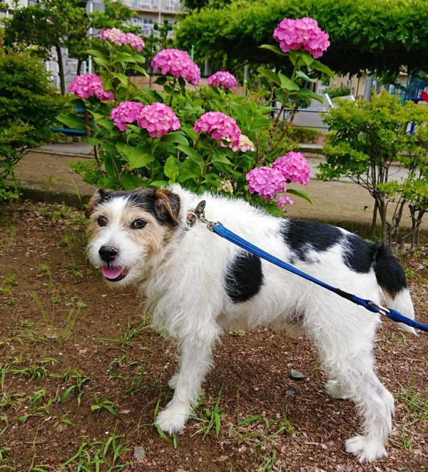 安定の小次郎君☆