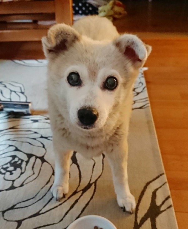 毎日会えるくぅちゃん☆