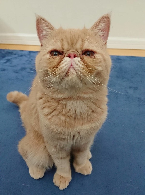 リピートの忠実太君☆